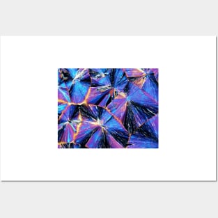 Tartaric acid crystals, light micrograph (C009/5982) Posters and Art